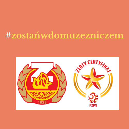 Read more about the article #zostańwdomuzezniczem