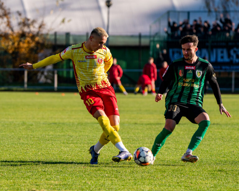 Read more about the article Z obozu rywala: Stal Stalowa Wola